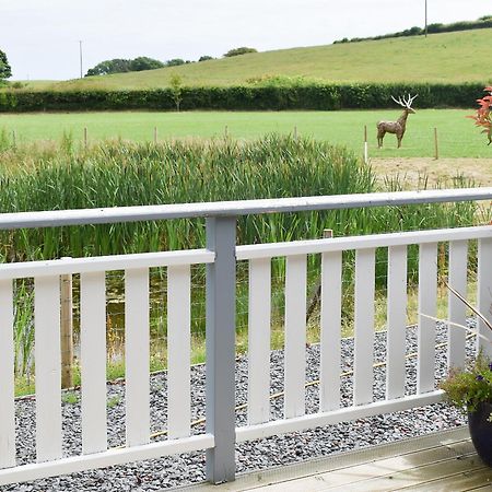 Birch Lodge - Uk30006 Lindal in Furness Ngoại thất bức ảnh