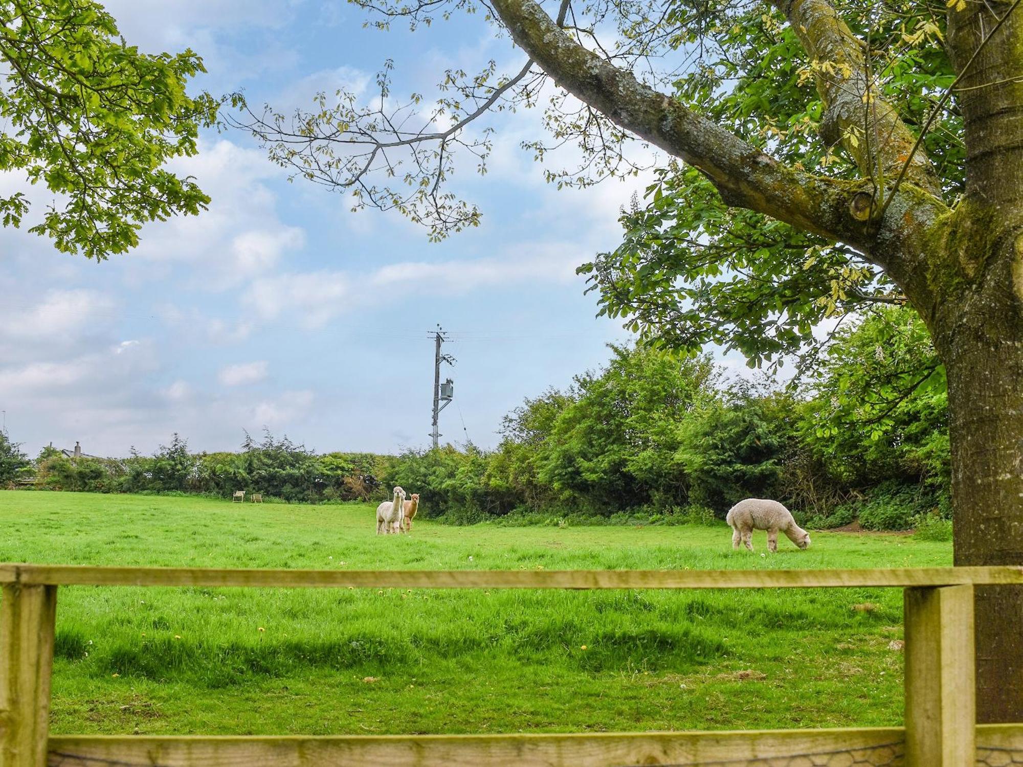 Birch Lodge - Uk30006 Lindal in Furness Ngoại thất bức ảnh