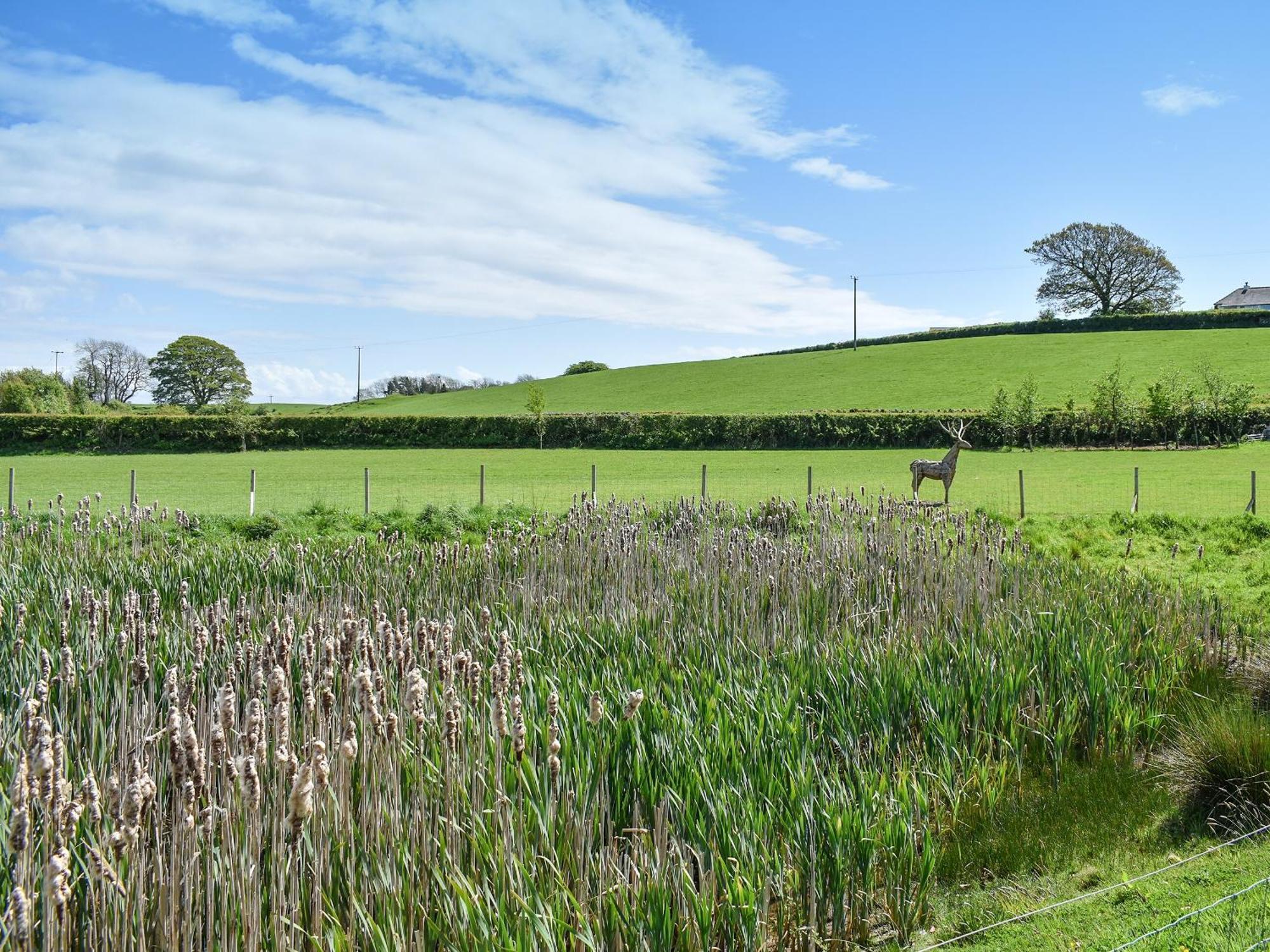 Birch Lodge - Uk30006 Lindal in Furness Ngoại thất bức ảnh